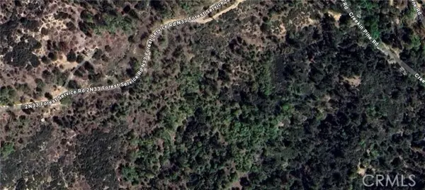 Lake Arrowhead, CA 92352,0 Forest Road