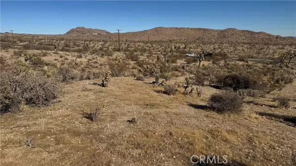 Yucca Valley, CA 92284,0 Yucca Mess