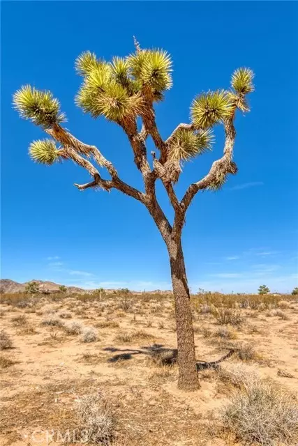 Yucca Valley, CA 92284,76 Deer Trail