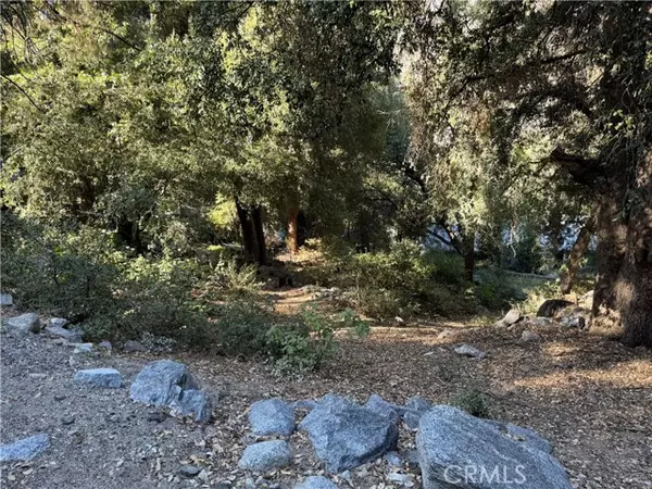 Forest Falls, CA 92339,39480 Prospect Drive