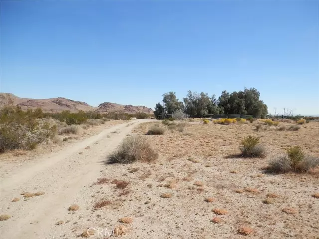 Rosamond, CA 93560,0 Dawn Road