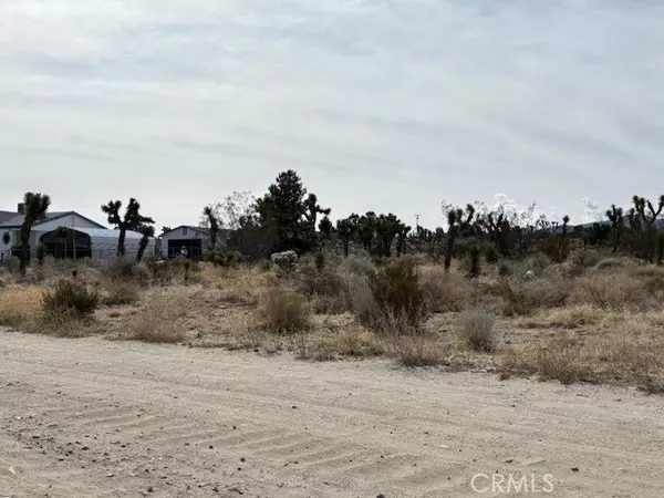 0 Mono Road, Pinon Hills, CA 92372