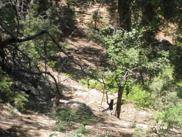 Twin Peaks, CA 92391,0 Forest Lane
