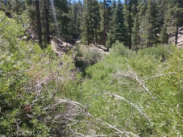 Big Bear Lake, CA 92315,0 Ponca Lane