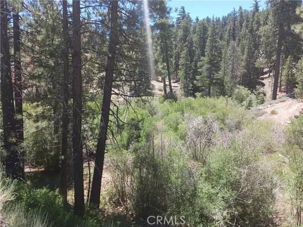 Big Bear Lake, CA 92315,0 Ponca Lane