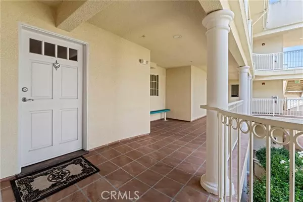 Glendale, CA 91202,530 W Stocker Street #203