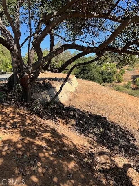 Redlands, CA 92373,0 W Sunset Drive