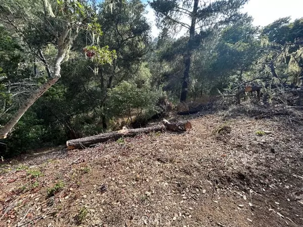 Cambria, CA 93428,2977 Ramsey Street