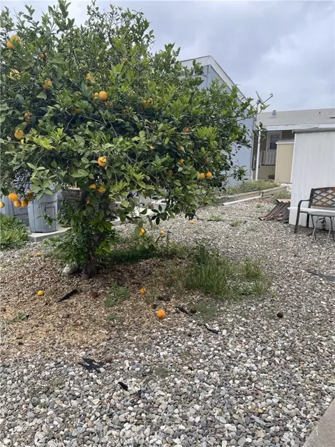 Anaheim, CA 92801,13 PALM VIA