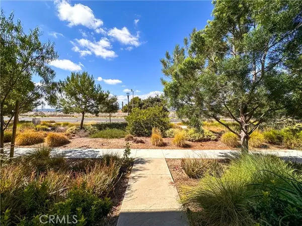 Irvine, CA 92618,168 Spectacle