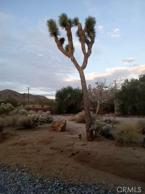 Joshua Tree, CA 92252,60194 La Mirada Trail