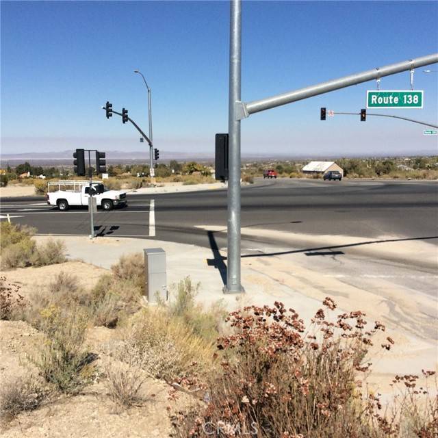 Pinon Hills, CA 92372,0 Smoketree