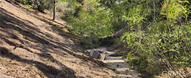 Green Valley Lake, CA 92341,0 TRAILS END Road