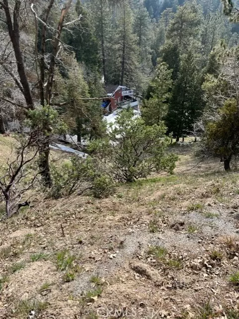 Crestline, CA 92391,818 Berne