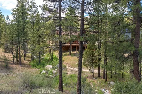 42048 Division Drive, Big Bear City, CA 92315