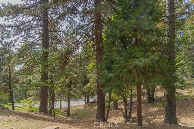 0 Circle View Drive, Running Springs, CA 92382