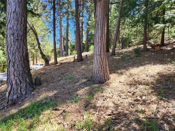 Crestline, CA 92325,0 Altdorf Drive