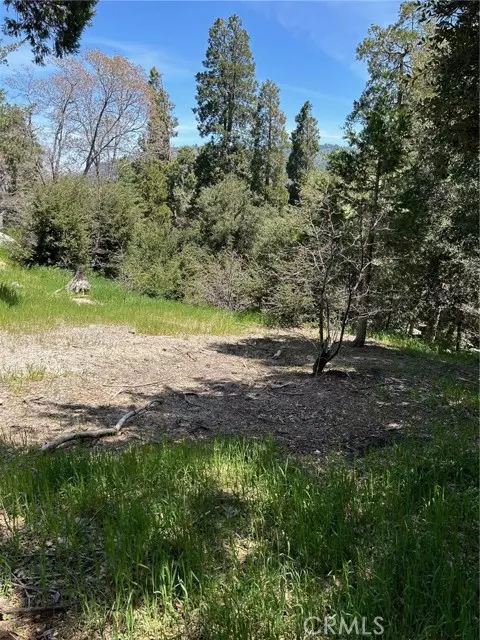 Crestline, CA 92325,1039 Jungfrau Drive