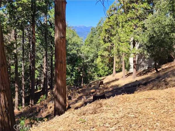 Twin Peaks, CA 92391,0 North Road