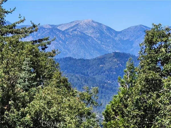 Twin Peaks, CA 92391,0 North Road