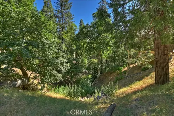 Crestline, CA 92325,0 Nesthorn Drive