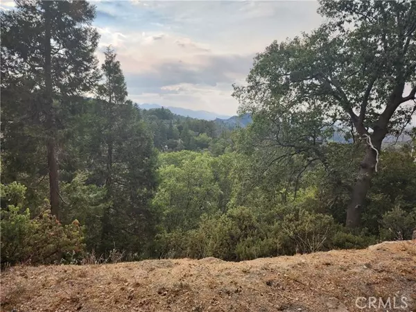 Lake Arrowhead, CA 92352,0 Evergreen Lane