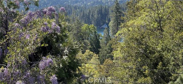 27596 N Bay Road, Lake Arrowhead, CA 92352