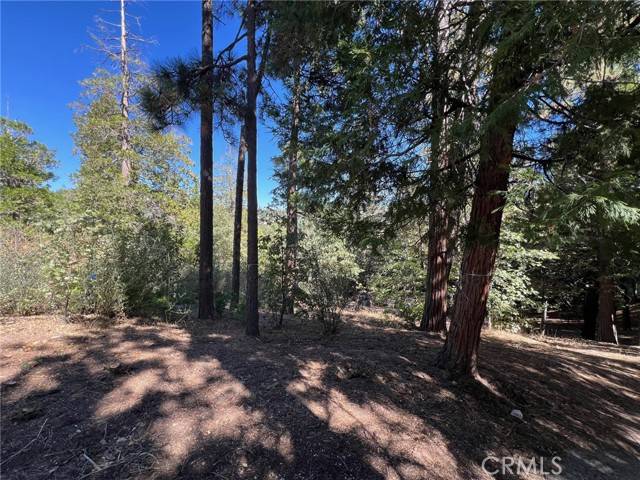 27528 North Bay Road, Lake Arrowhead, CA 92352