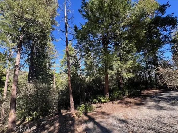 Lake Arrowhead, CA 92352,27530 North Bay Road
