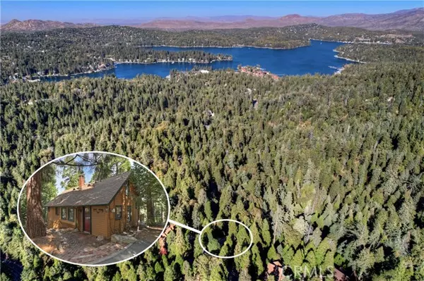 Lake Arrowhead, CA 92352,687 Crest Estates Drive