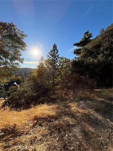 0 Grass Valley Road, Lake Arrowhead, CA 92352