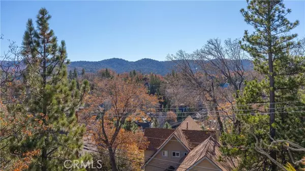 Lake Arrowhead, CA 92352,28204 Arbon Lane