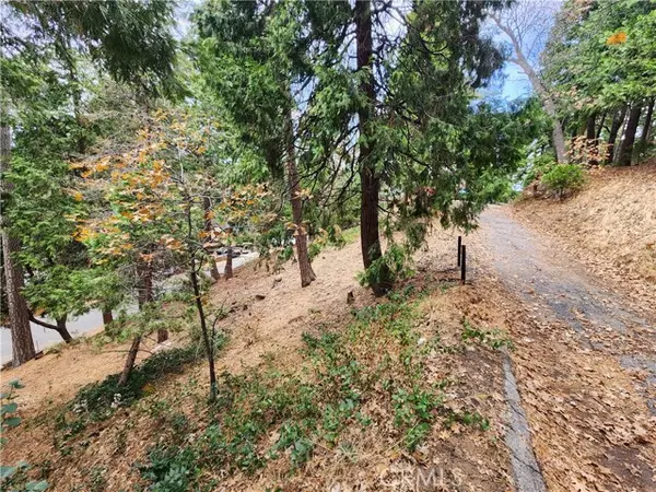 Crestline, CA 92325,0 Horst Drive