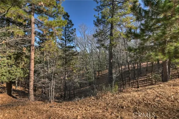 Lake Arrowhead, CA 92352,0 Lucerne Lane