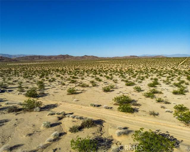 1962 Bourland Pass Road, Joshua Tree, CA 92252