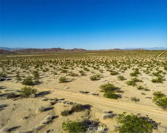 Joshua Tree, CA 92252,1962 Bourland Pass Road