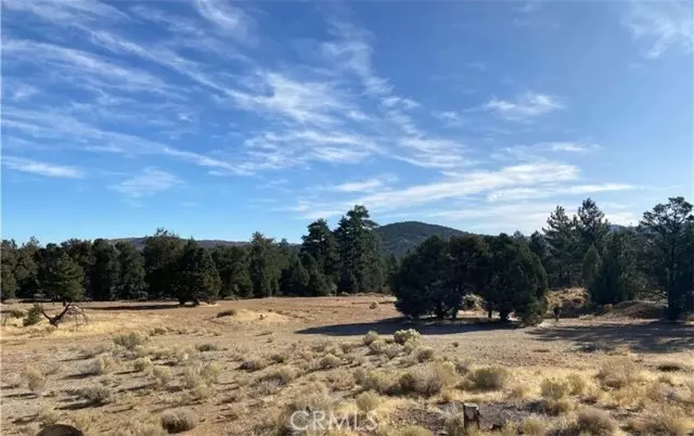 0 Pine Lane, Big Bear City, CA 92314