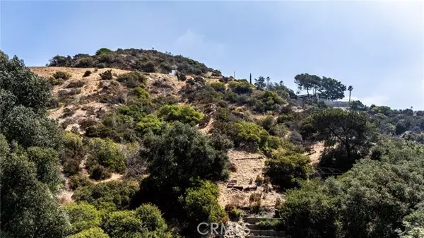 Los Angeles, CA 90046,2625 N Dominion Lane