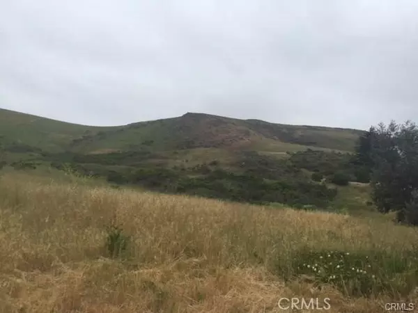 Cayucos, CA 93430,0 Paper Roads