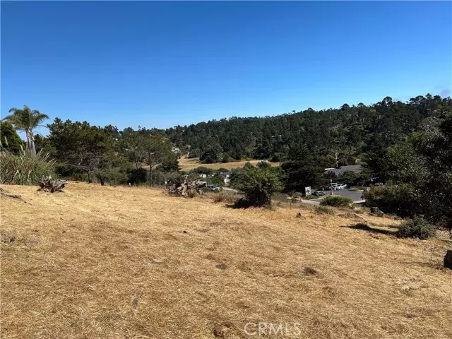 Cambria, CA 93428,4925 Grove Street