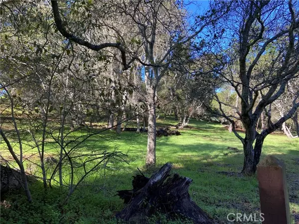 Cambria, CA 93428,0 Kenneth