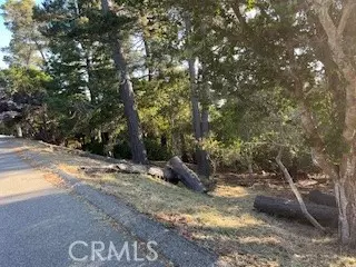 Cambria, CA 93428,0 Bradford Road