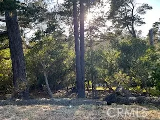 Cambria, CA 93428,0 Bradford Road