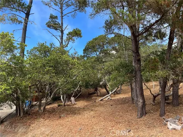 Cambria, CA 93428,0 Norwich Avenue