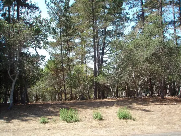 Cambria, CA 93428,1865 Dreydon Avenue