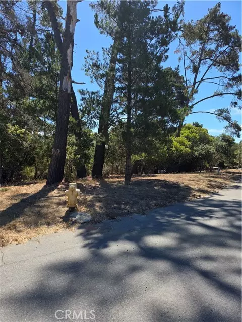 Cambria, CA 93428,2418 Malvern Street