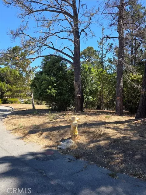 Cambria, CA 93428,2422 Malvern Street