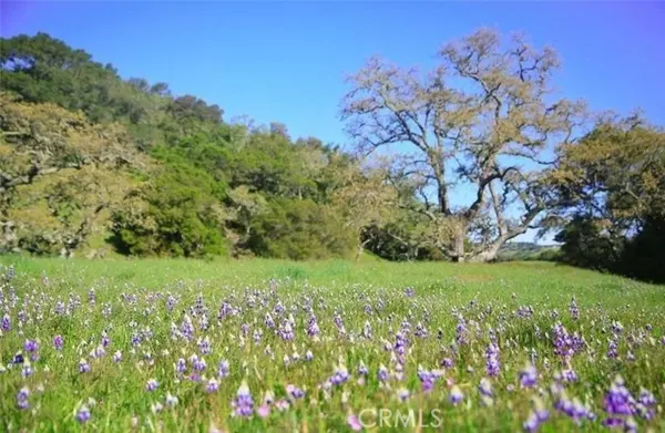 Cayucos, CA 93430,0 Old Creek Road