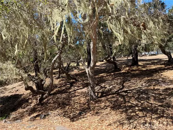 Cambria, CA 93428,34 Kenneth