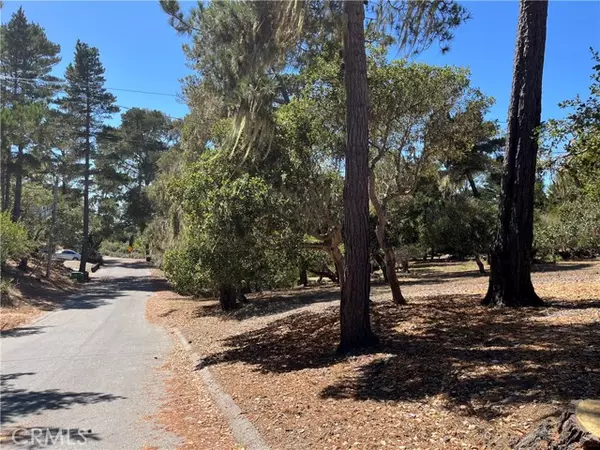 Cambria, CA 93428,34 Kenneth